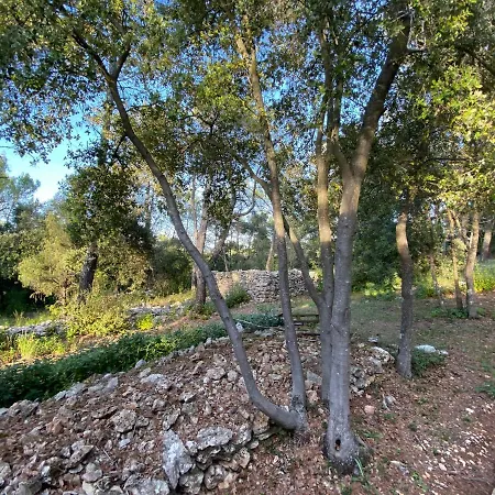 Yourte En Provence * Besse-sur-Issole